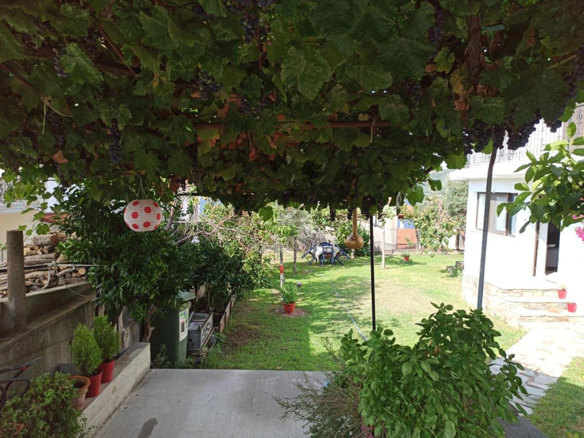 Dora'S House Comfortable Apartment With A Yard And View Pyrgadikia Exterior foto